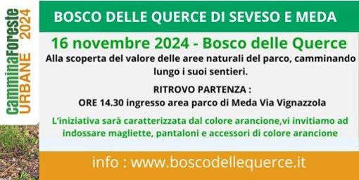 Immagine che raffigura Le foreste, il respiro delle nostre città