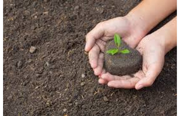 Immagine che raffigura Corso di compostaggio domestico 2024