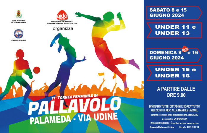 Immagine che raffigura Torneo di pallavolo femminile